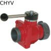 p17 CHYV