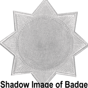 Eight Point Star Badge by Blackinton®