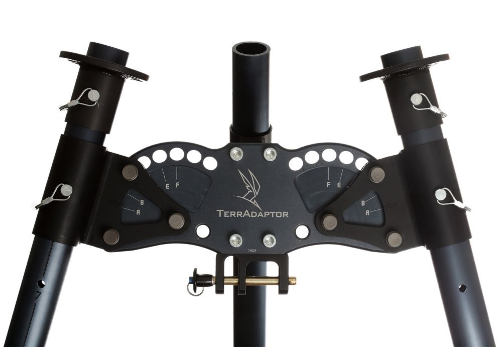 black_ta_head_web_size