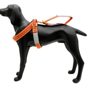 Kong Lait Dog Harness