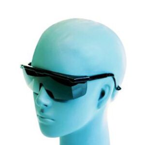 Work Force Inc. Safety Glasses