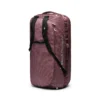 BD680047 fig